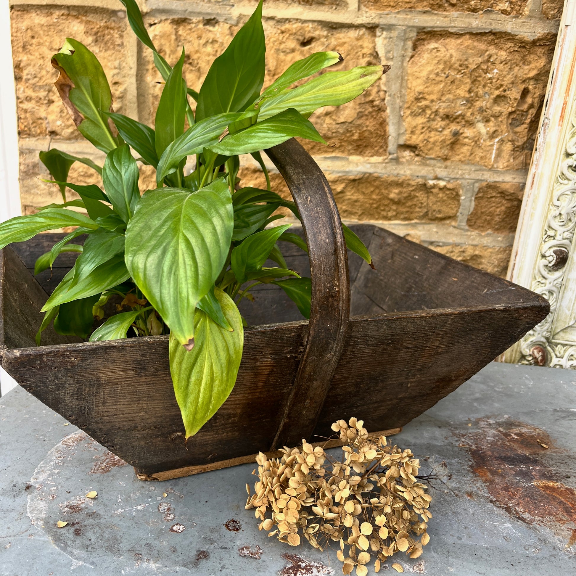 A vintage wooden French trug, featuring a shallow, rectangular shape with a sturdy central handle. The trug has a weathered, natural finish,  exuding classic gardening charm