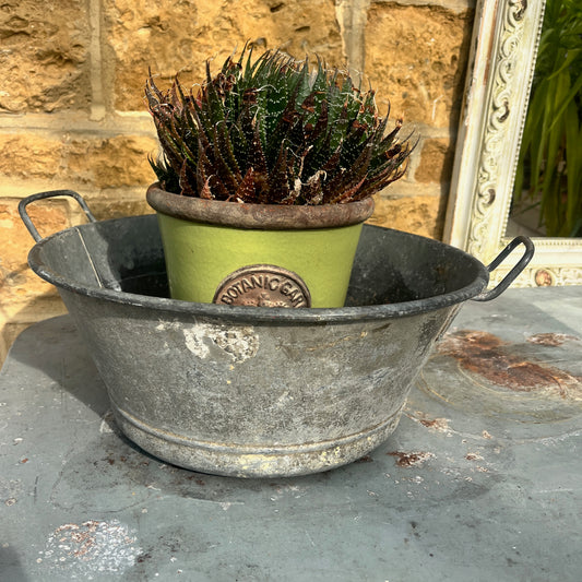 Rust-covered metal vintage planter