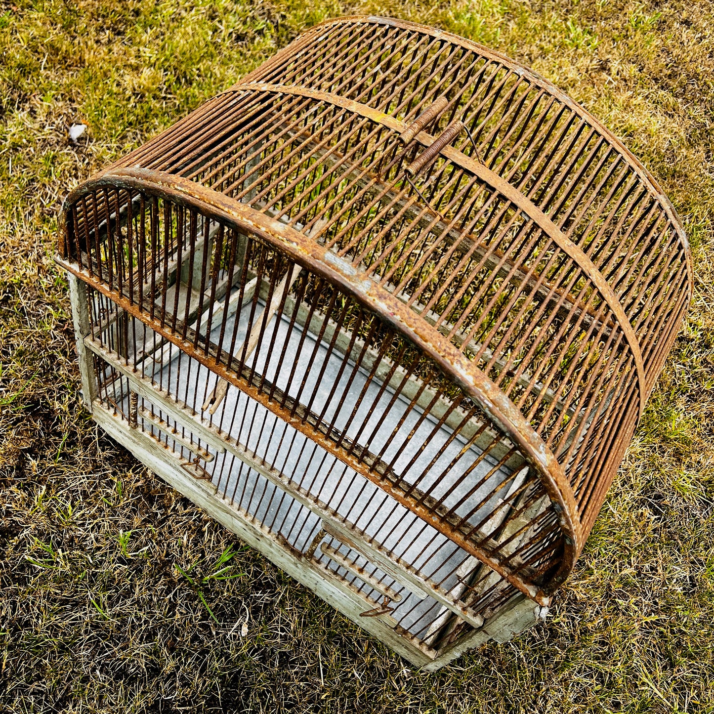 Large vintage birdcage with an ornate metal frame, featuring a domed top, decorative detailing, and a weathered aged finish.