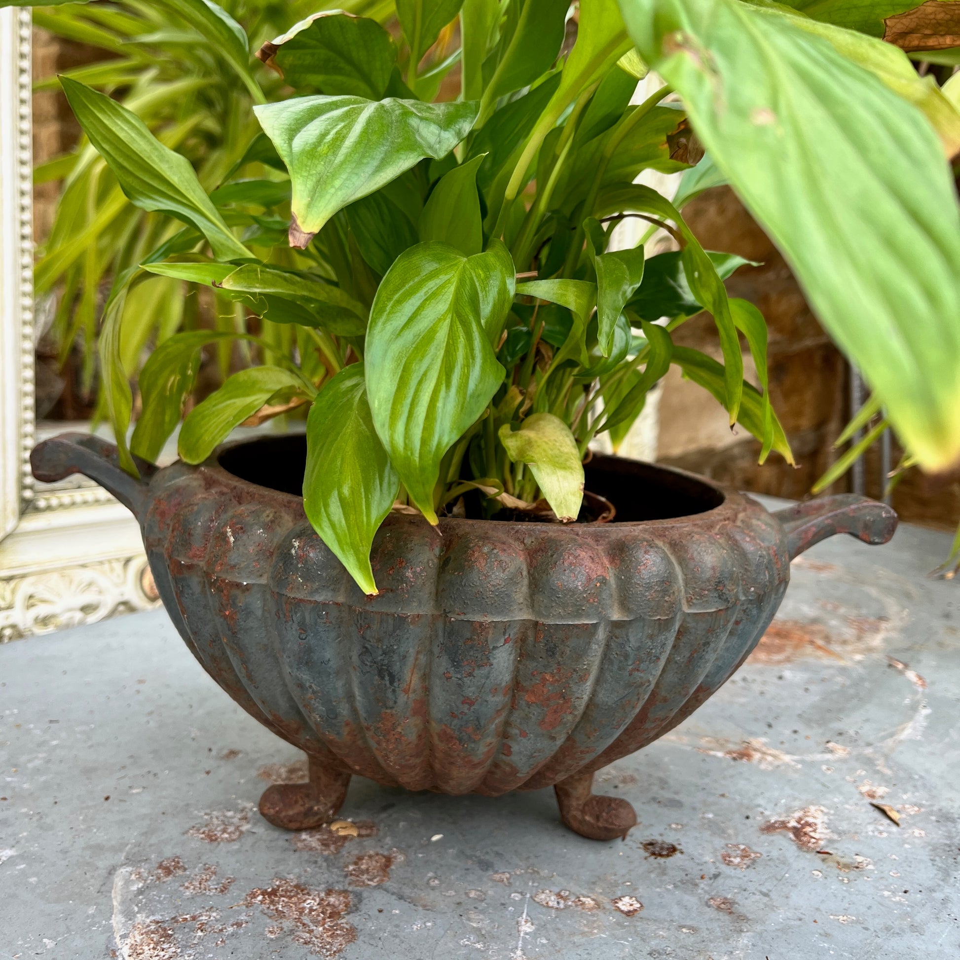 A round French jardinière crafted from metal.  The planter has a classic, slightly weathered finish, with subtle decorative accents, exuding rustic French elegance
