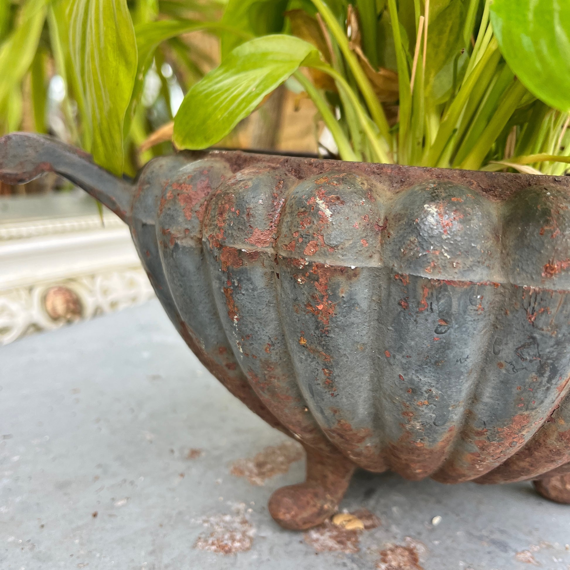 A round French jardinière crafted from metal.  The planter has a classic, slightly weathered finish, with subtle decorative accents, exuding rustic French elegance