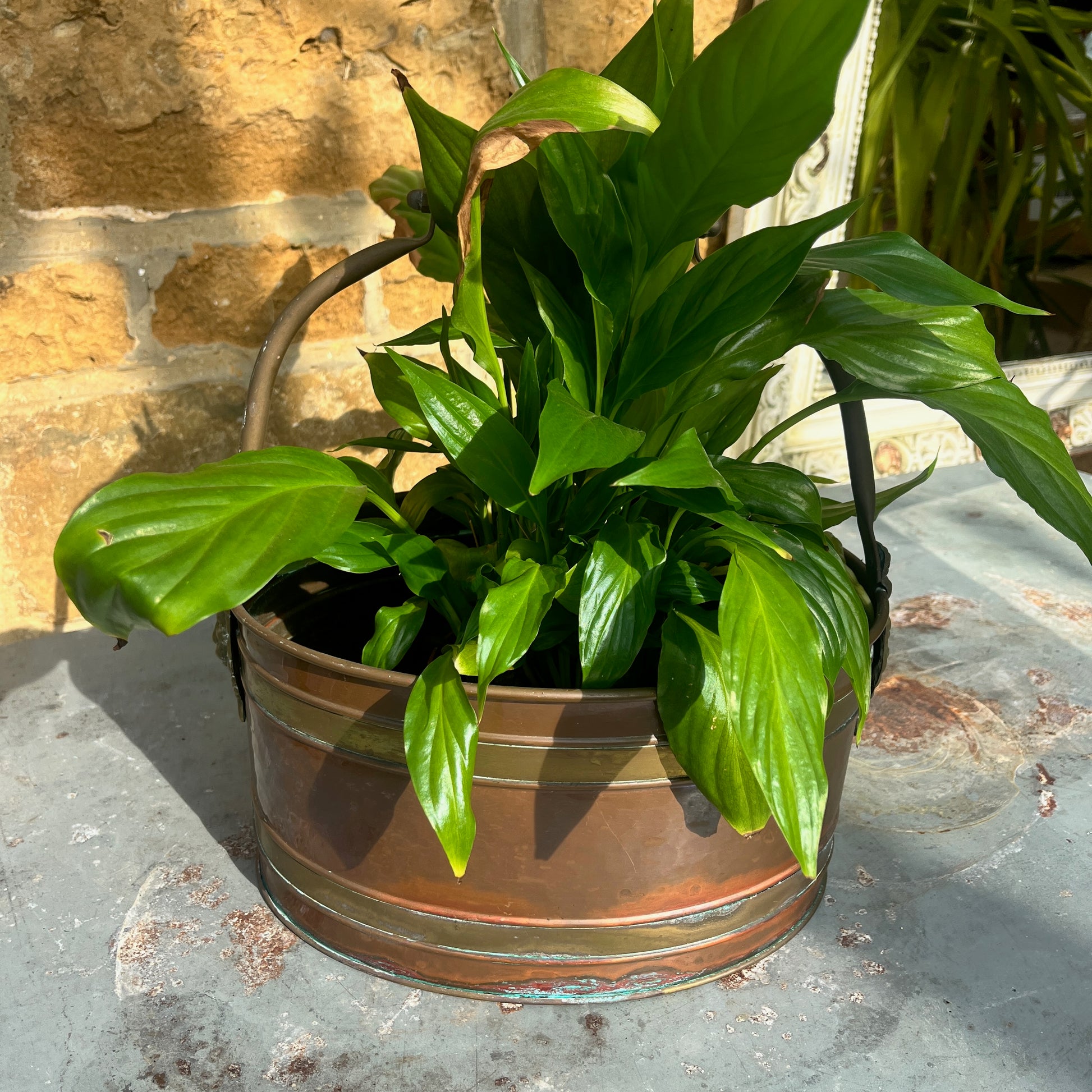 A vintage French copper planter with a glossy finish, featuring a delicate china handle adorned with a blue and white floral pattern.