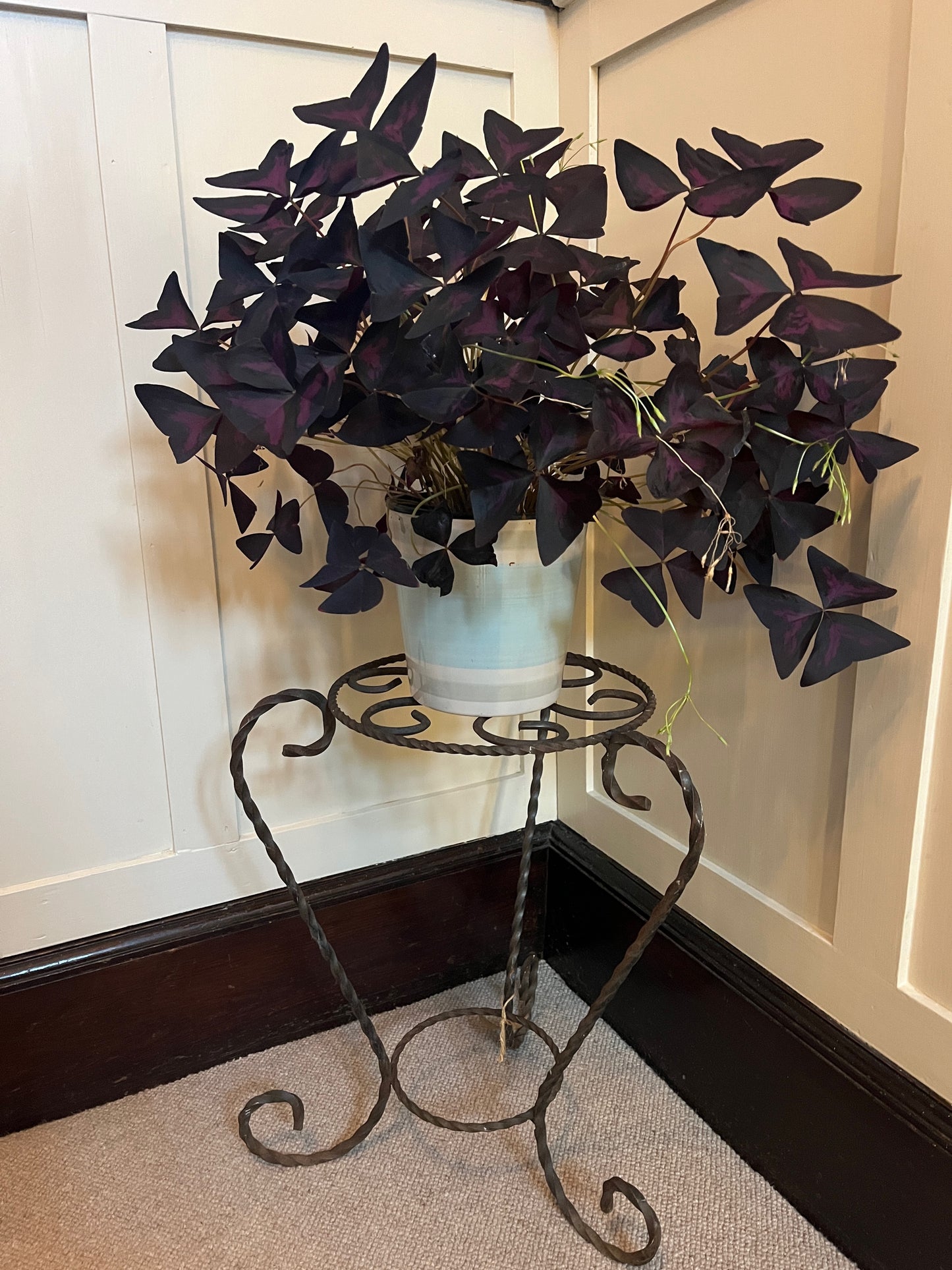 vintage french pot stand with decorative detail on the top and scrolled twisted legs - this would look great in a conservatory, living room or in the garden.