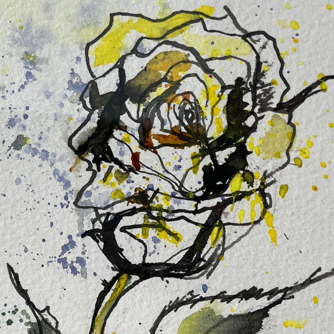 Watercolor ink painting of red and yellow roses with green leaves, in a glass vase,  on an white background, signed 'J. Webb' at the bottom.