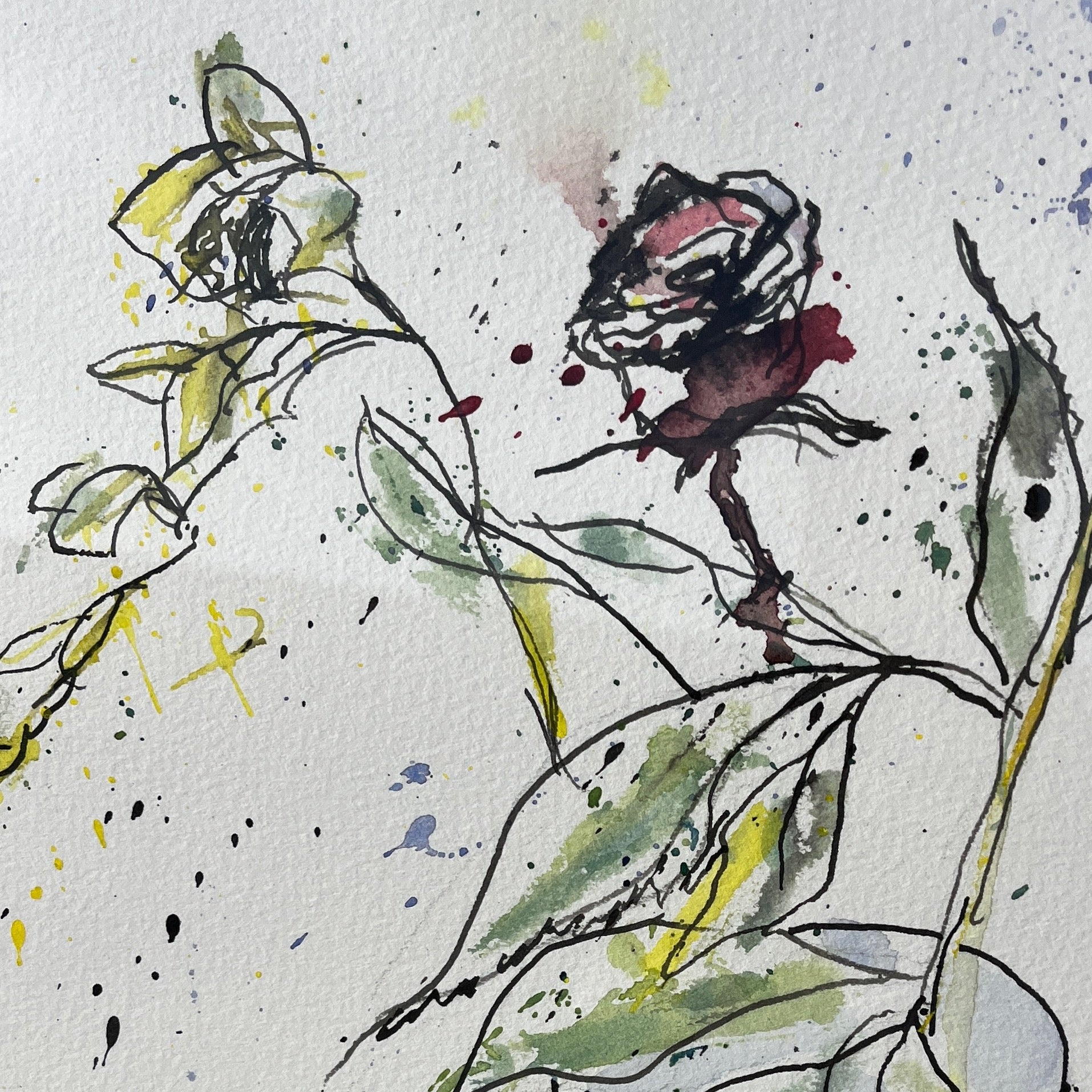 Watercolor ink painting of red and yellow roses with green leaves, in a glass vase,  on an white background, signed 'J. Webb' at the bottom.