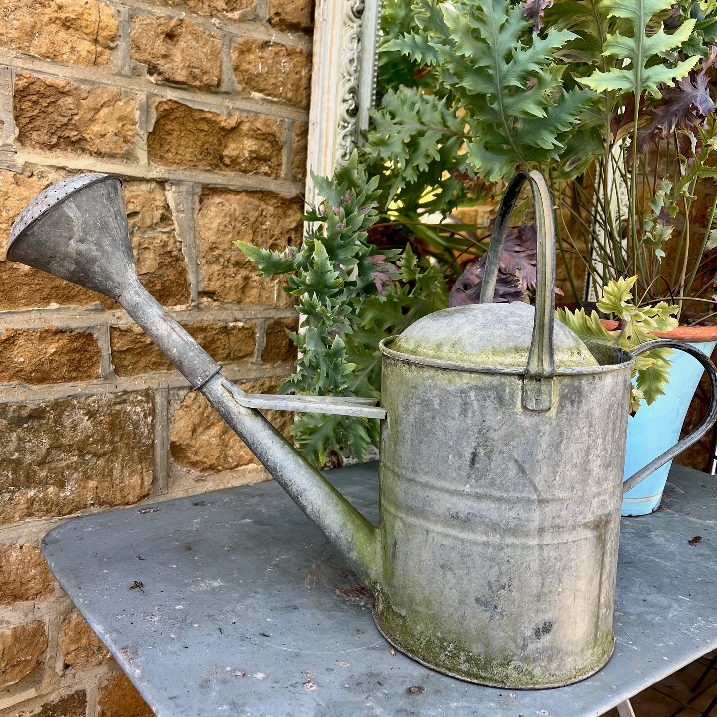 A galvanized vintage watering can with a rose spout, featuring a weathered finish and classic design, perfect for gardening