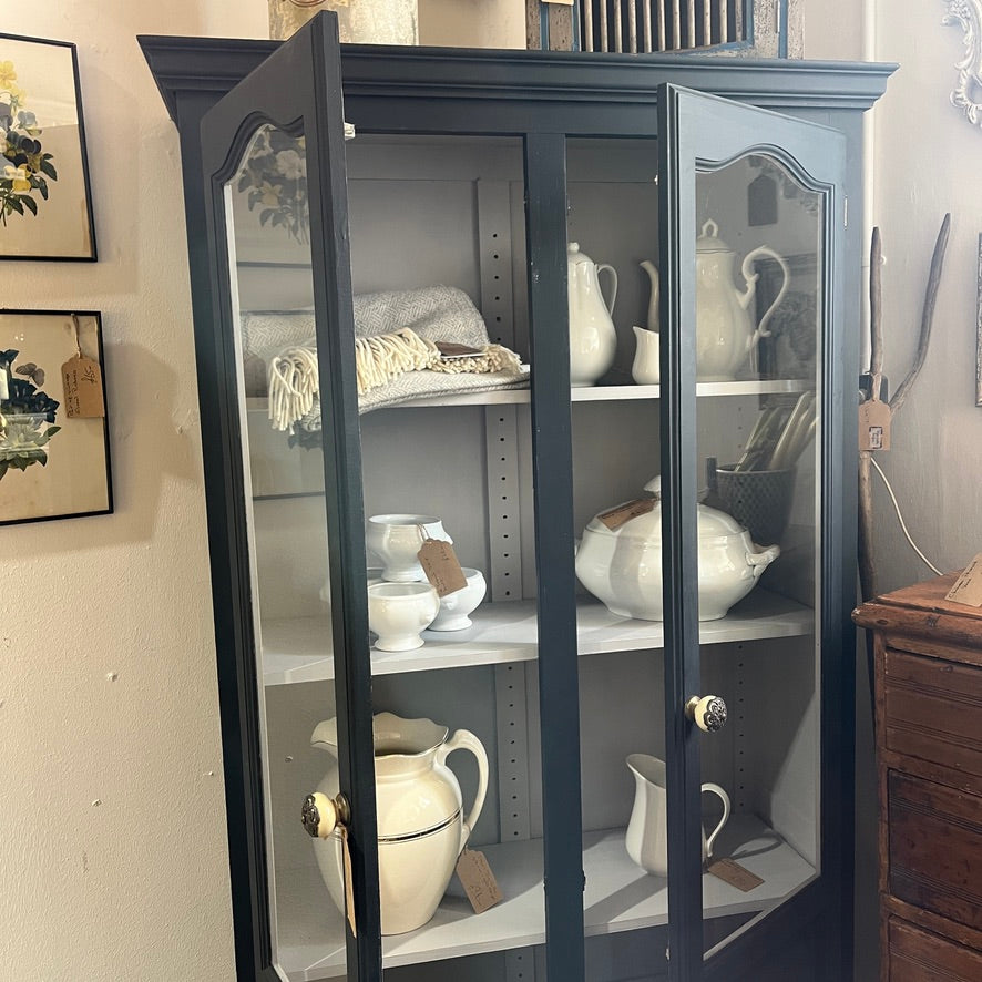 2 door cabinet with glass doors & 3 shelves