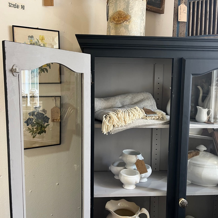 2 door cabinet with glass doors & 3 shelves