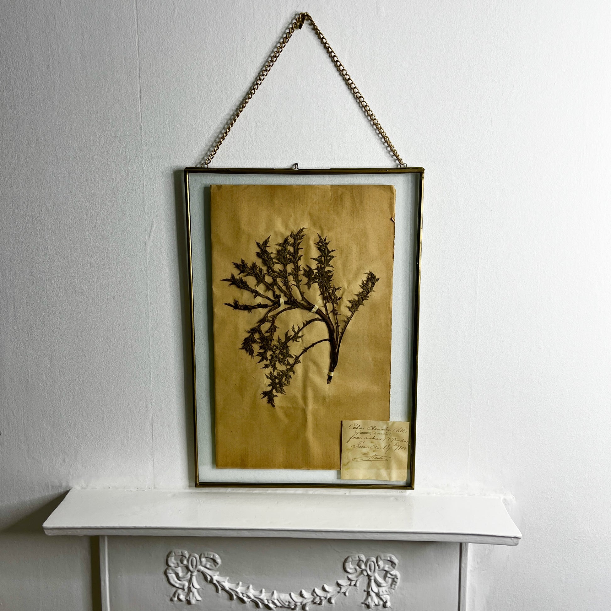Framed botanical print with a branch on a white surface and wall.
