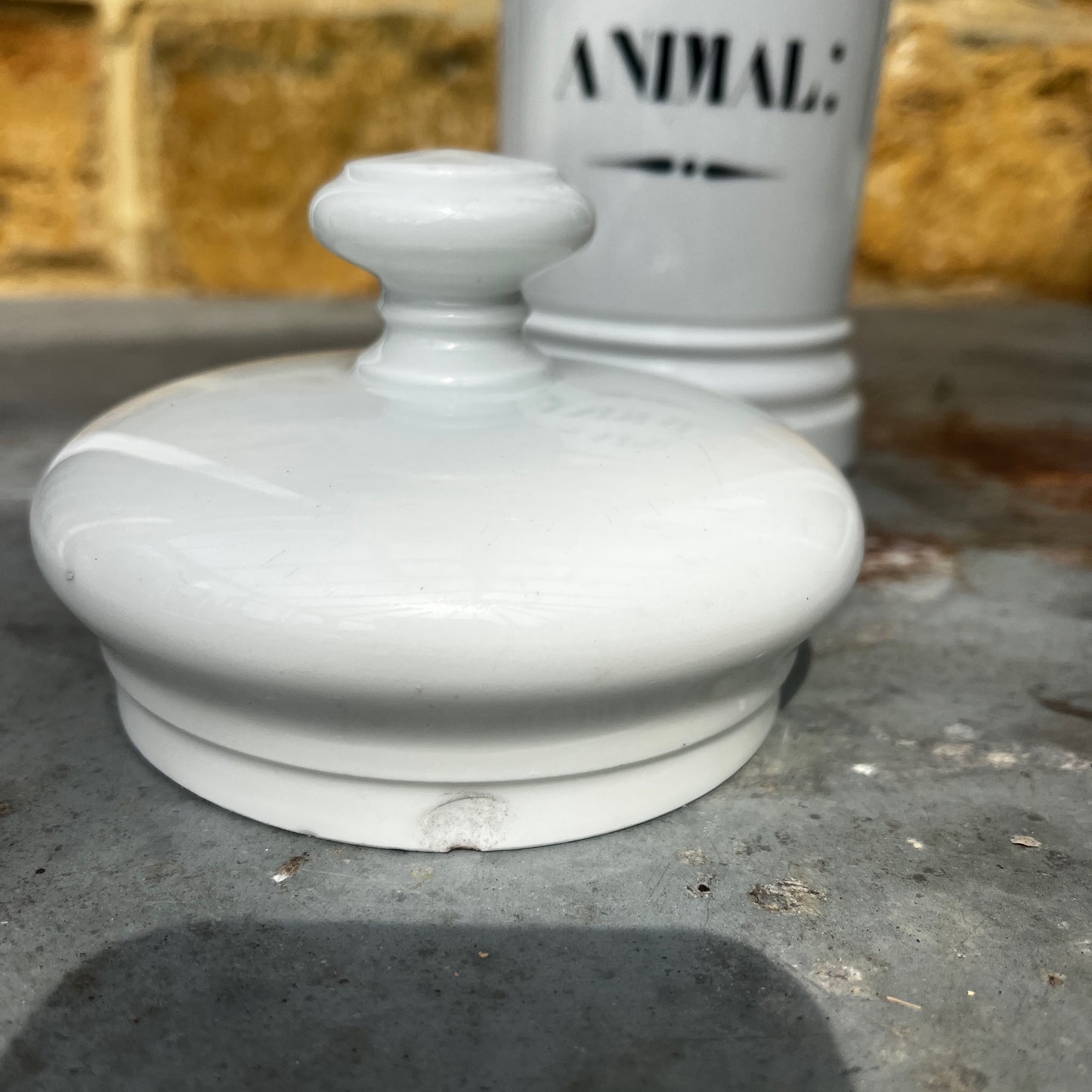 An antique white ceramic apothecary jar labelled “Sapo Animal,” featuring a simple cylindrical form, rounded shoulders, and a gently domed lid. The jar has a softly aged white glazed finish with subtle signs of wear, reflecting its original use in a traditional pharmacy