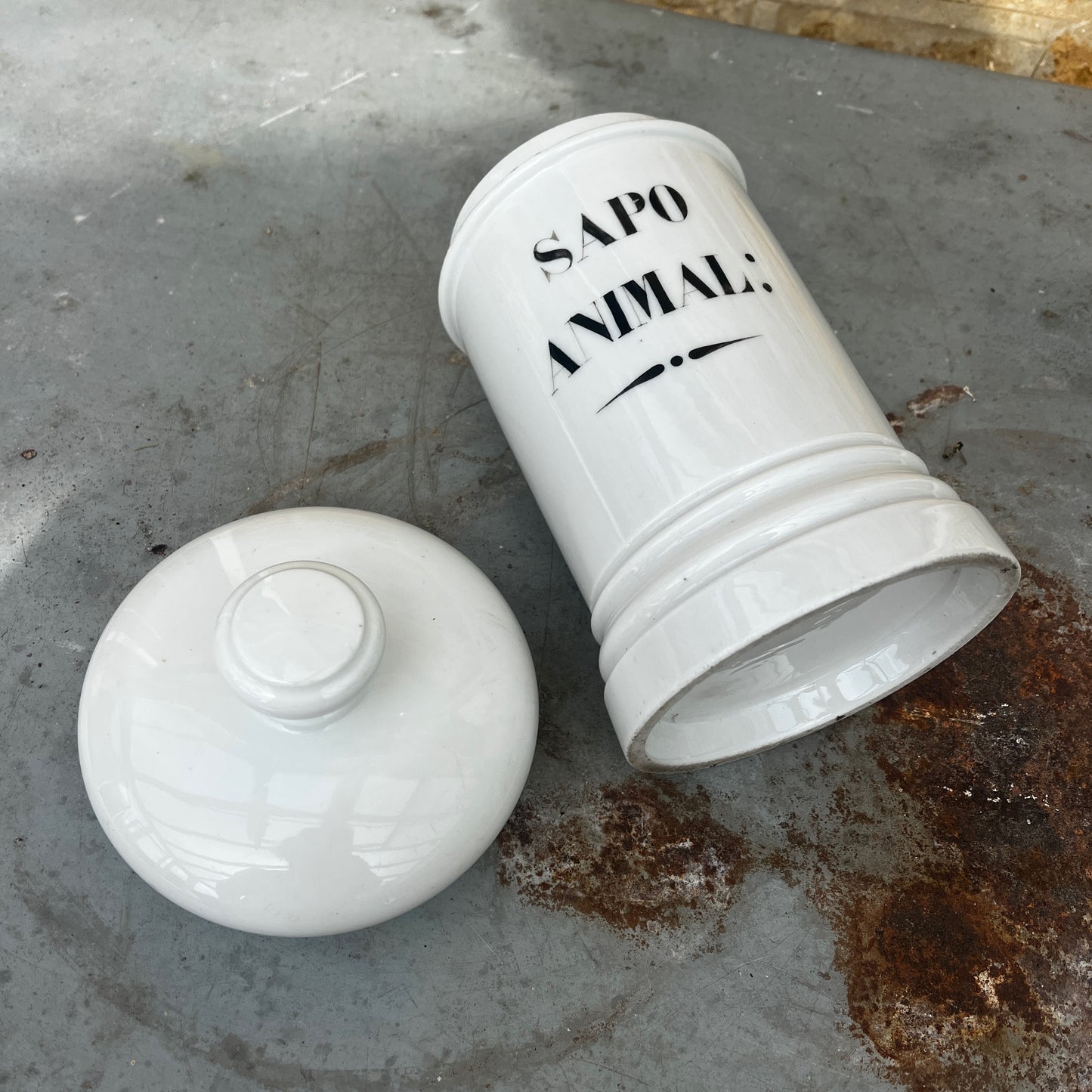 An antique white ceramic apothecary jar labelled “Sapo Animal,” featuring a simple cylindrical form, rounded shoulders, and a gently domed lid. The jar has a softly aged white glazed finish with subtle signs of wear, reflecting its original use in a traditional pharmacy