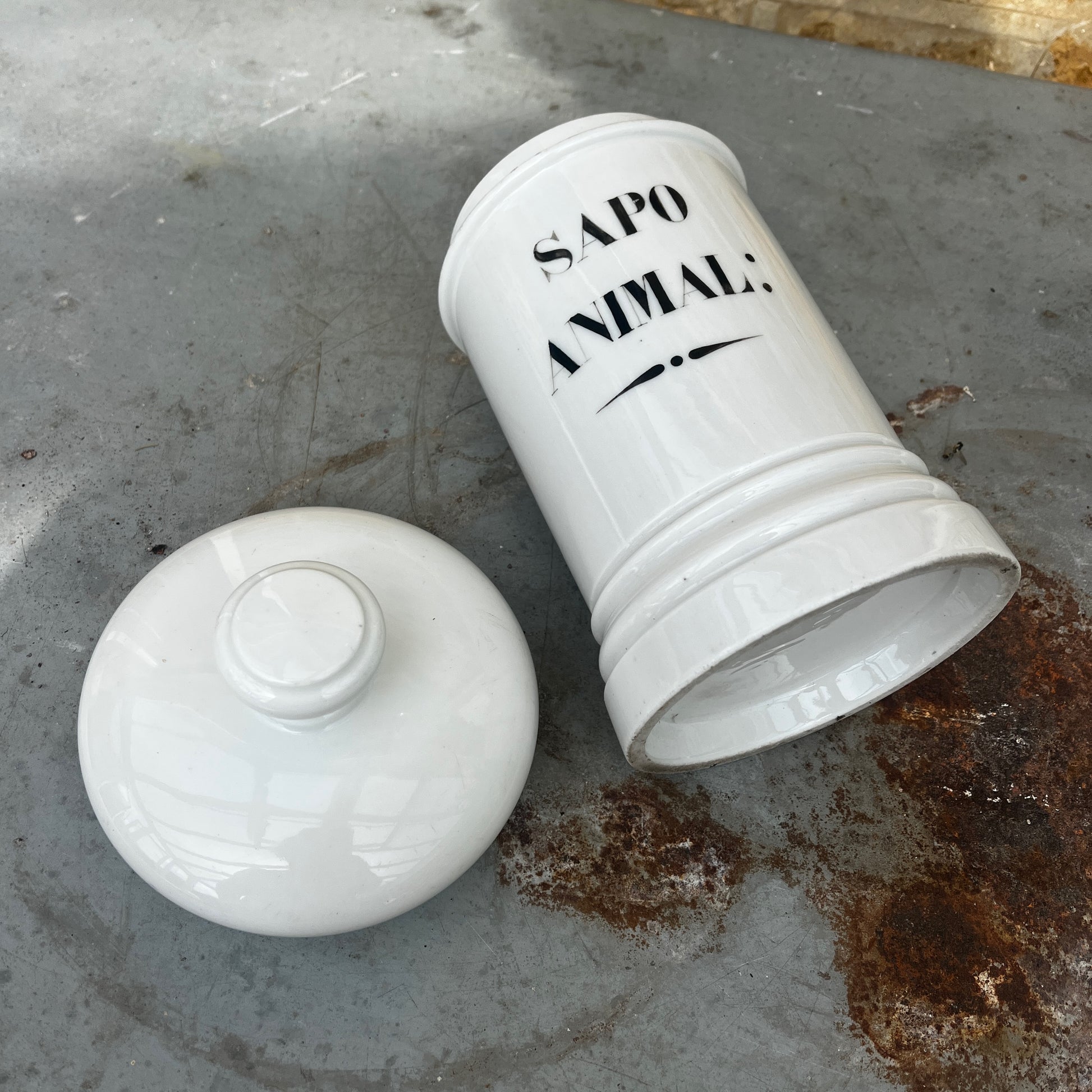 An antique white ceramic apothecary jar labelled “Sapo Animal,” featuring a simple cylindrical form, rounded shoulders, and a gently domed lid. The jar has a softly aged white glazed finish with subtle signs of wear, reflecting its original use in a traditional pharmacy