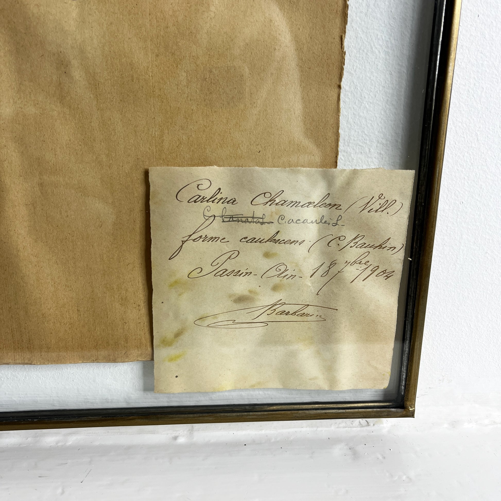 Framed document with handwritten text on a white background