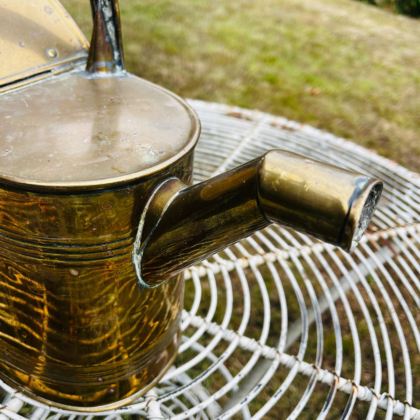 Antique Brass Watering Can with Decorative Banding & Arched Handle