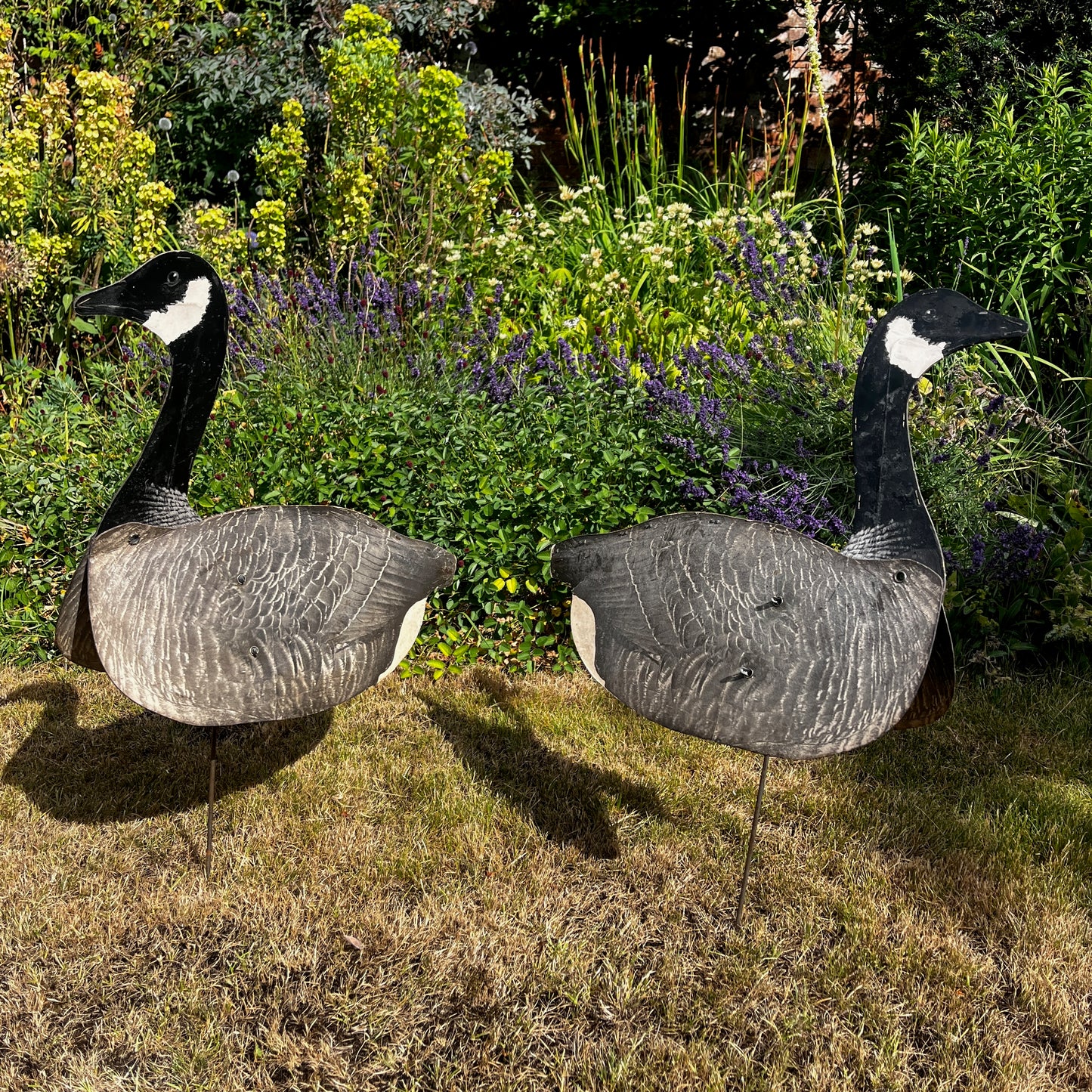 A vintage American or Canadian goose decoy with a hand-painted finish in natural shades of brown, black, white, and grey.