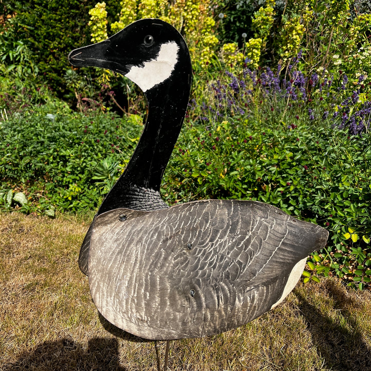 A vintage American or Canadian goose decoy with a hand-painted finish in natural shades of brown, black, white, and grey.