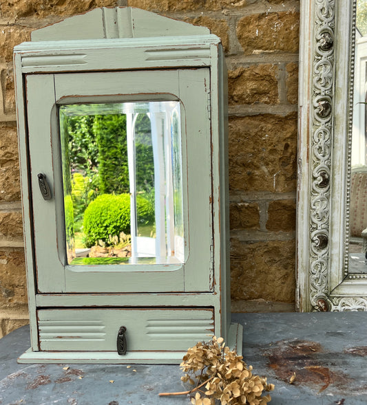 A French-style green cupboard with a mirrored door, featuring internal shelves for storage and a drawer with red and white floral lining.