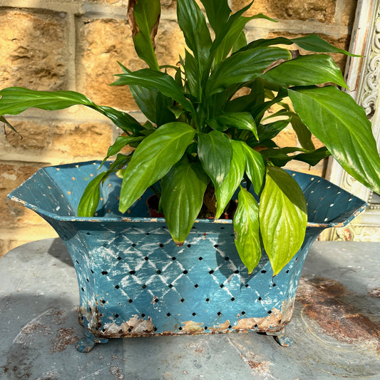 A large, vintage French jardinière in blue metal.  It has a shabby chic aesthetic with visible chips, wear, and some rust on the enamel, adding to its antique charm. Perfect for French country or vintage decor