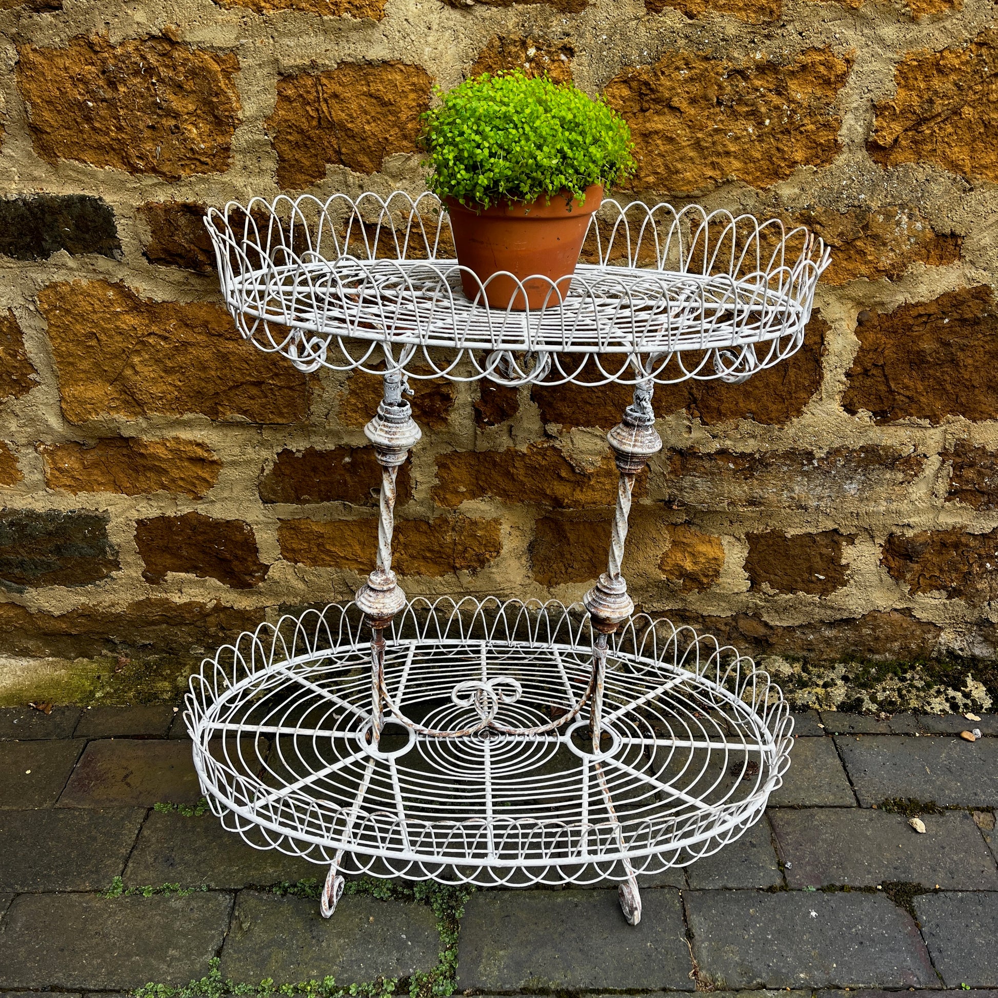 Two tier white vintage wire plant stand with two oval wire shelves with decorative scalloped edging.