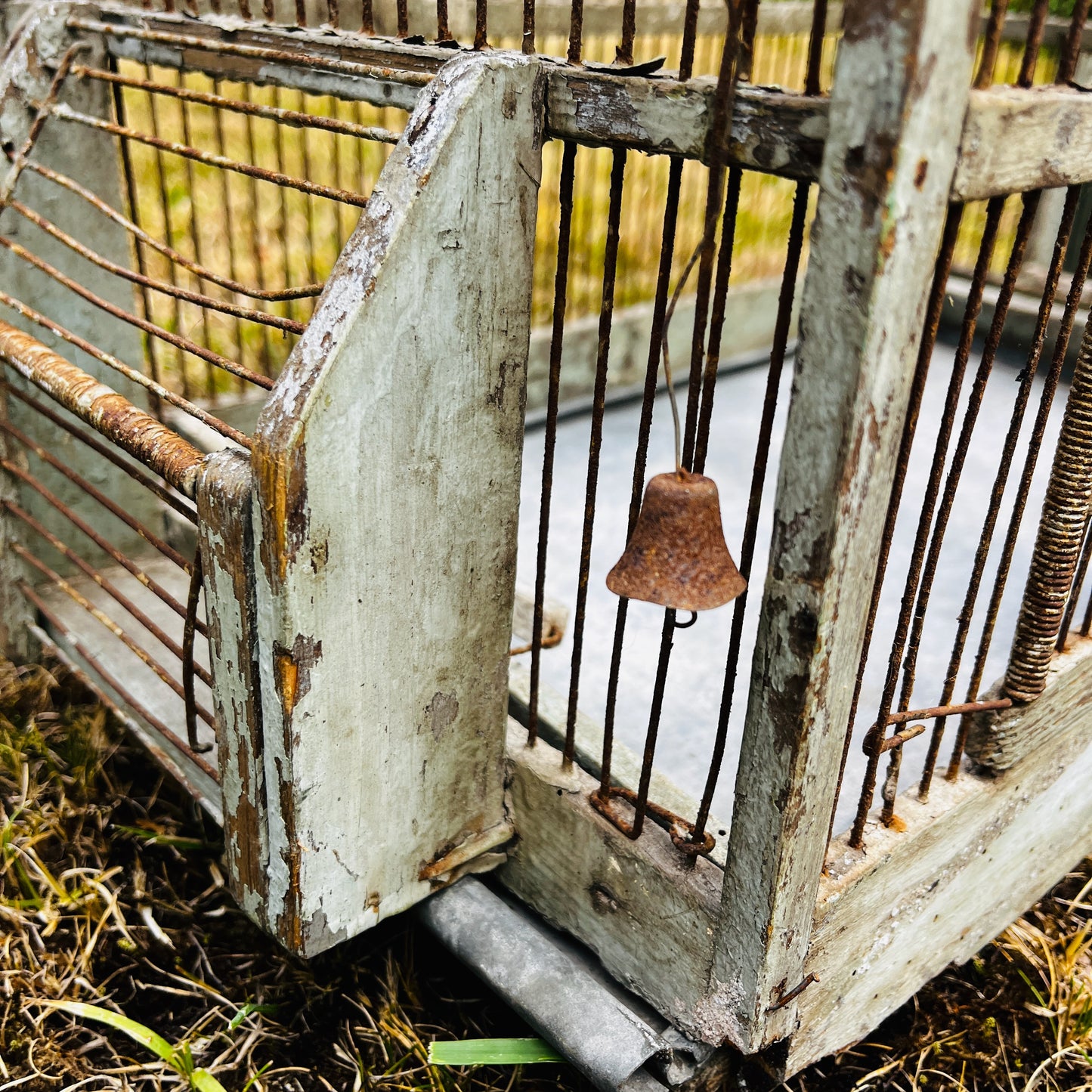 Large vintage birdcage with an ornate metal frame, featuring a domed top, decorative detailing, and a weathered aged finish.