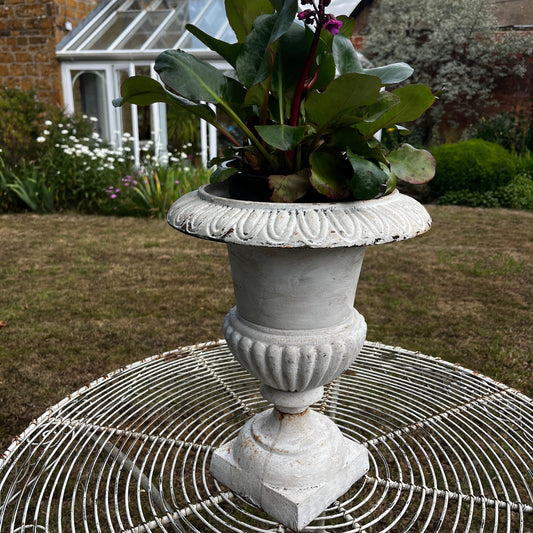A large white cast iron garden urn with an aged, weathered finish. The classic urn features a wide flared bowl with decorative raised detailing, a sturdy pedestal base, and a timeless vintage design.