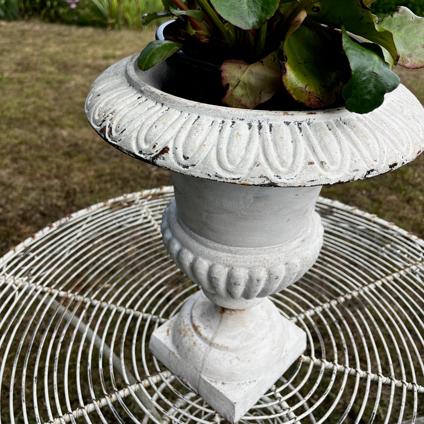 Large White Vintage Cast Iron Urn Planter with Pedestal Base